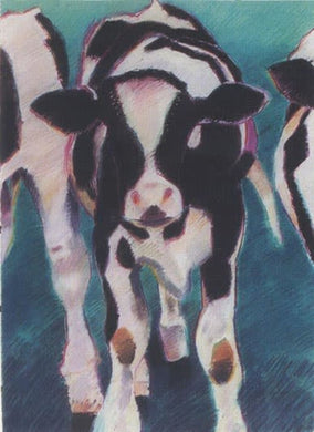 Three Young Holsteins by Alice Andrews