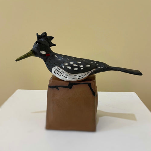 Roadrunner by Cheryl Buell