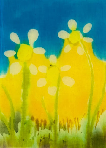 Daisies Just Daisies by Denice Nicholson