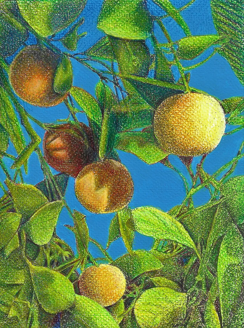 Citrus, Orange, and Sky Blue by Frank Goff