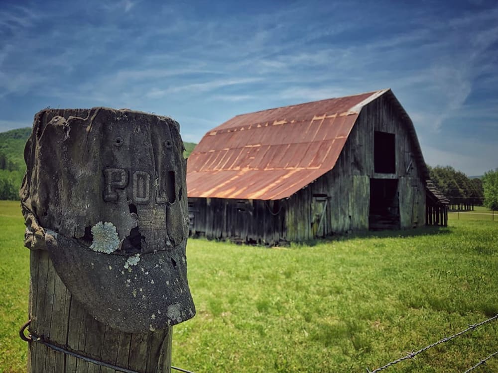 Polo Barn by Heather Chilson