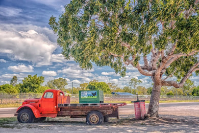 Australia No. 3 by Jay McDonald