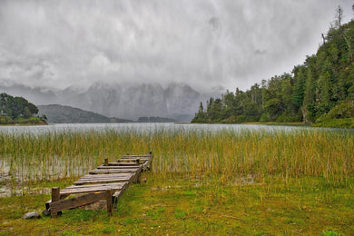 Chilean Rain by Jay McDonald