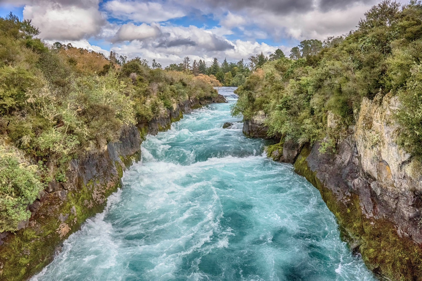 Downstream New Zealand by Jay McDonald