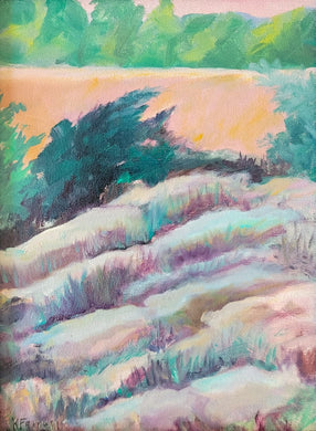 Evening Light, Santa Fe by Karolyn Farrell