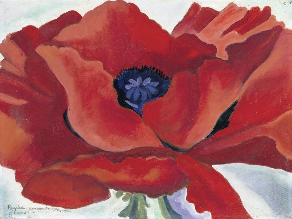 Red Poppy by Karolyn Farrell