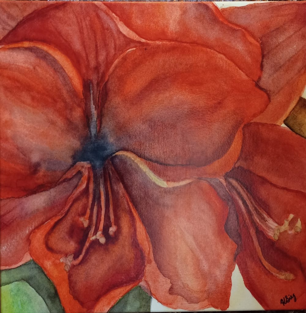 Amaryllis by Kathleen Siegfried