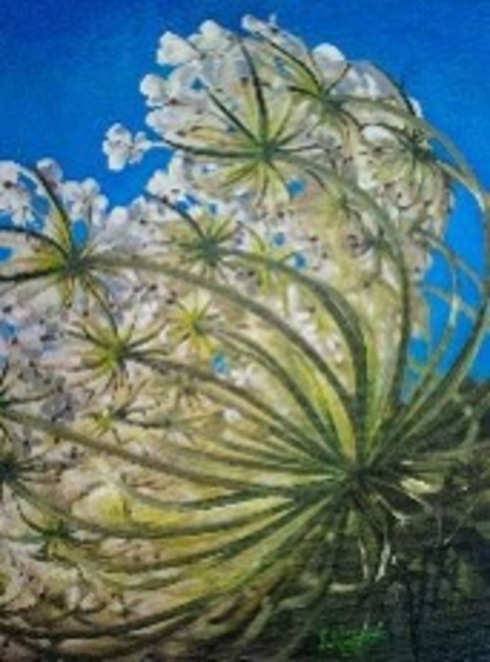 Wild flower 1 (Flor silvestre 1) by Lourdes Valverde – Art