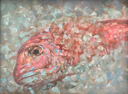 Perfect Red Snapper by Rich Lovato
