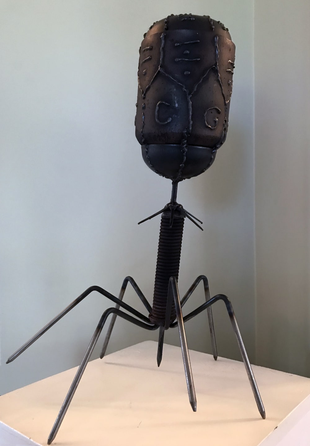 Bacteriophage by Tom Flynn