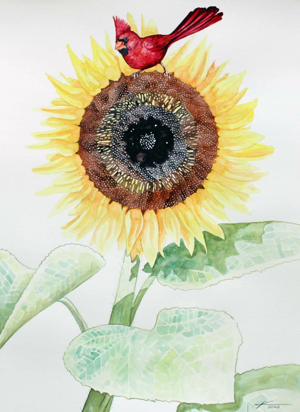 ᏅᏓᎠᏍᏓᏩᏗᏙᎯ  nv-da-a-s-da-wa-di-do-h  Sunflower